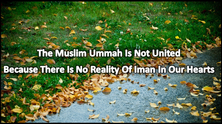 iman
